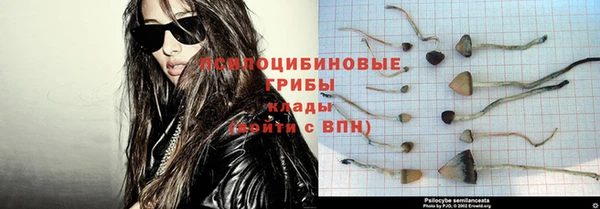 ALPHA PVP Арсеньев