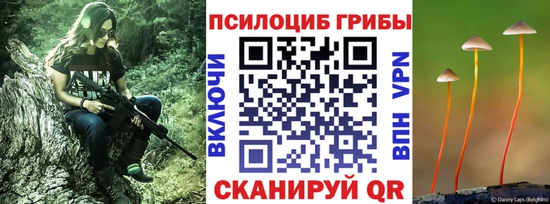 Псилоцибиновые грибы прущие грибы Гулькевичи